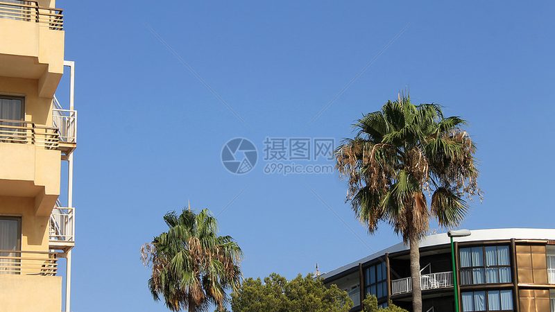 冬令营师资力量：如何评估与选择